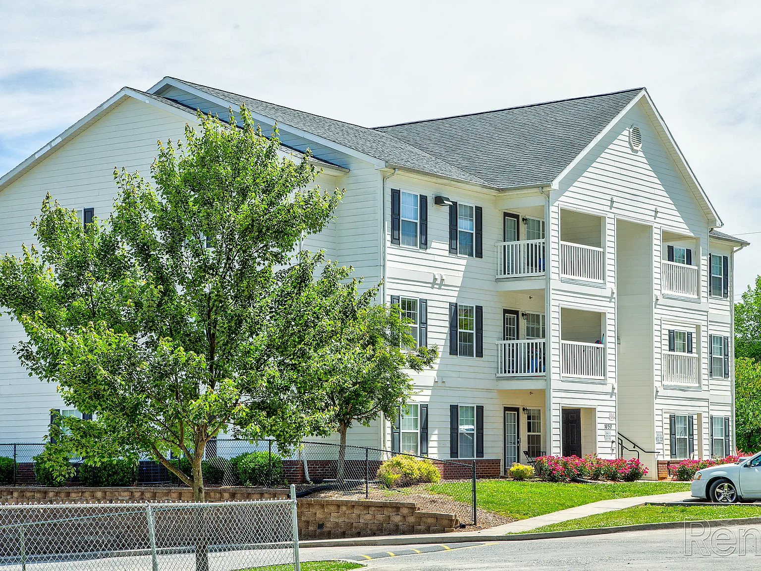 Walker Rosa Apartments — Photo 4