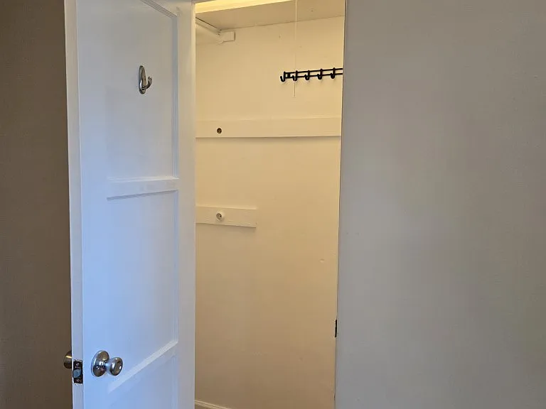 Primary Bedroom Large Closet