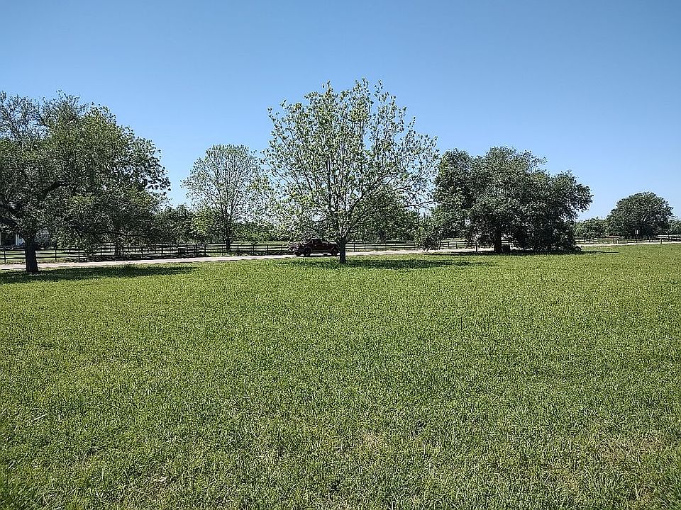 Live Oaks & Pecan at Front