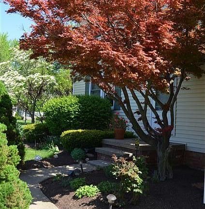 2nd image of 1151 Garwood Dr