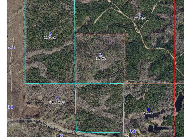 Old Jackson Rd, Forest, MS 39074