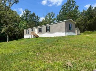 875 Lock 5 Rd, Roundhill, KY 42275