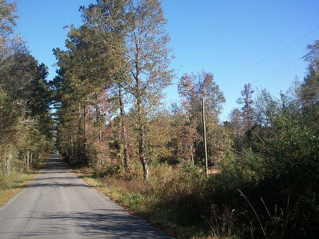2nd image of 325 Dacetown Rd