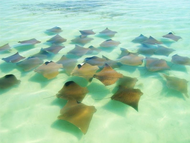 Crystal, clear waters