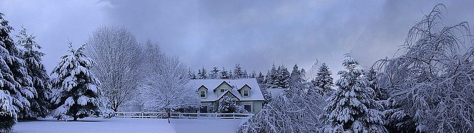 Panorama of the home
