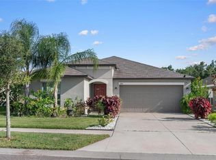 11303 Misty Moss Dr, Wimauma, FL 33598