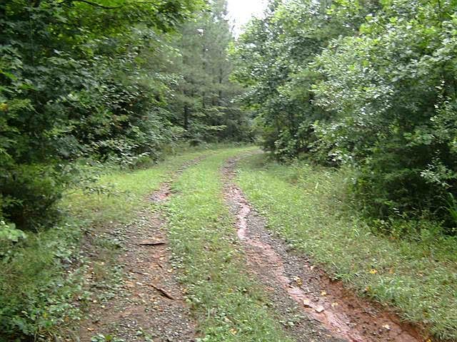 1st image of 88 Ac County Road 675