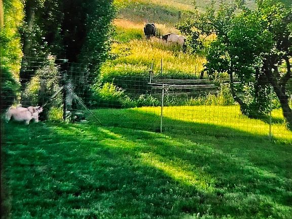 4th image of 845 Malone Hill Rd