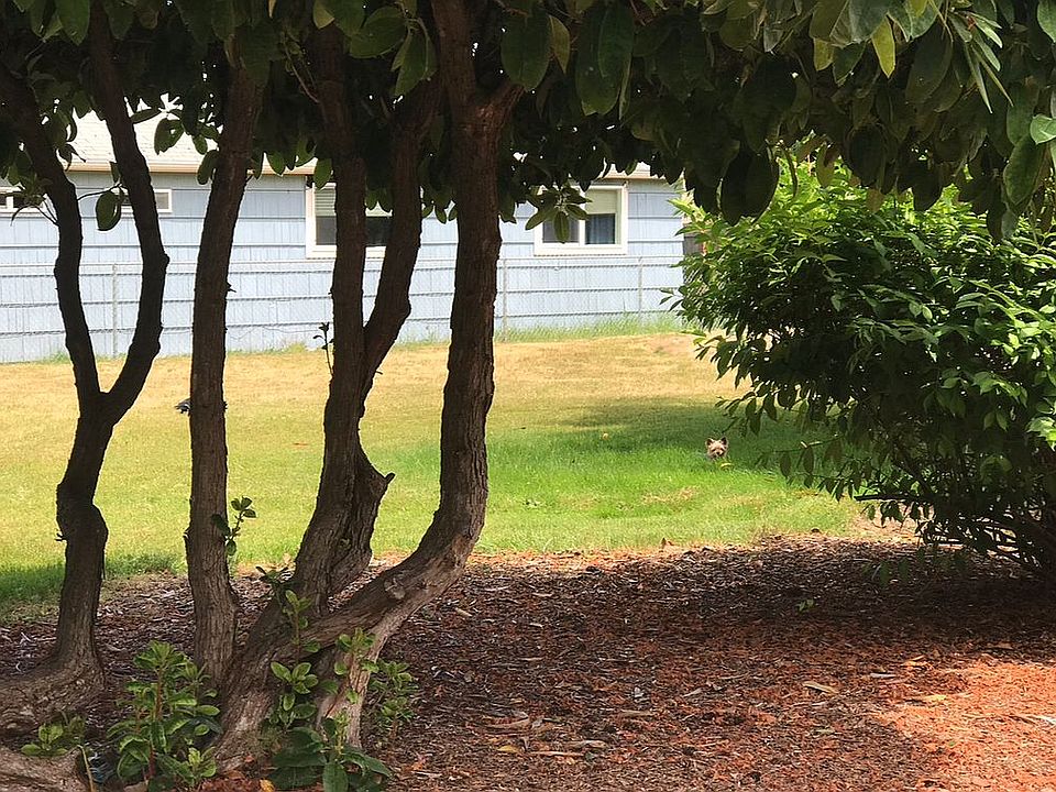 2nd image of 4221 Sunset Dr W