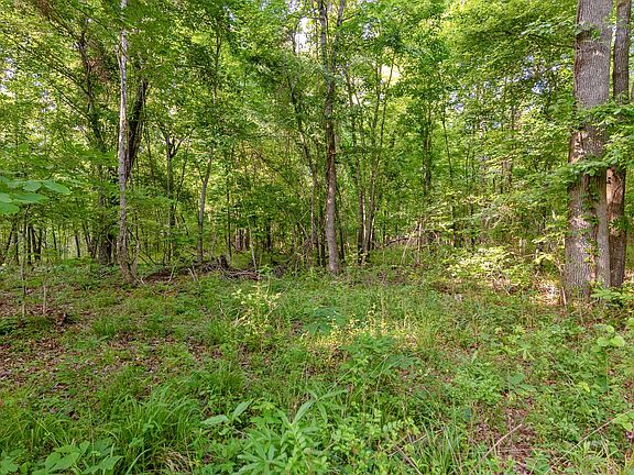 2nd image of 1478 County Road 4316 N