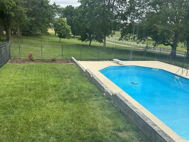 Back yard