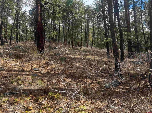 101 Pine Crest Drive, Bayfield, CO 81122