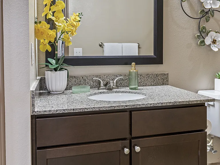 The Woodlands Lodge Apartments in The Woodlands, Texas