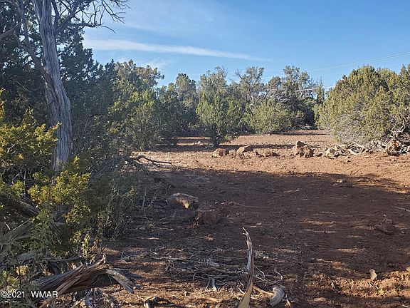 5th image of 1840 Lone Pine Circle