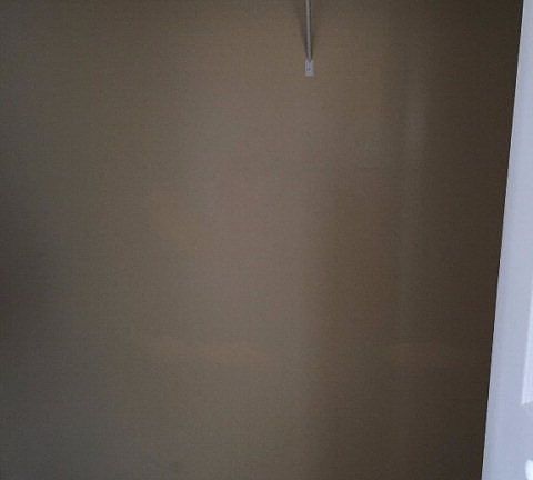 5th image of 1501 Myrtle St APT C7