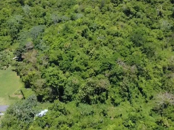 Carr 461 Km 3.0 Int Bo Corrales, Aguadilla, PR 00603