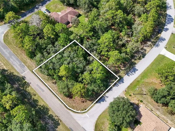 8331 N Primrose Dr, Citrus Springs, FL 34434