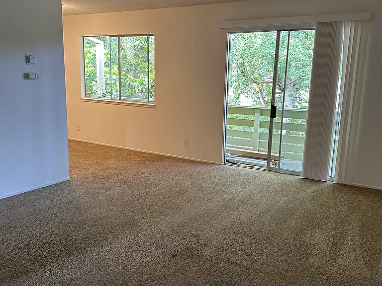 318 Gault St #6 — Photo 4