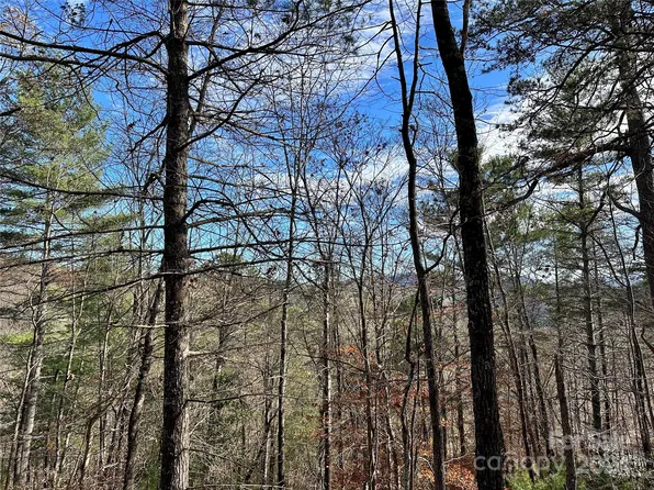 625 White Water Way #25, Marshall, NC 28753