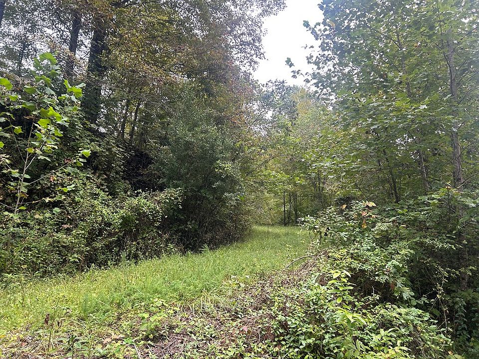 2nd image of 0 Little Lick Fork Rd