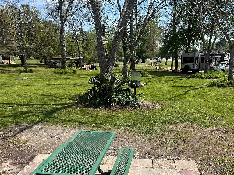 13128 Lamar Moran Rd — Photo 7