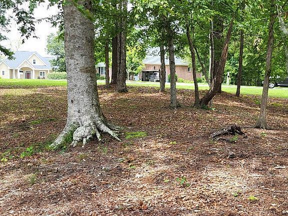5th image of 113 S Fork Ct Lot F042