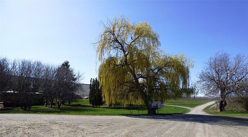 3rd image of 618 Jack Wells Road