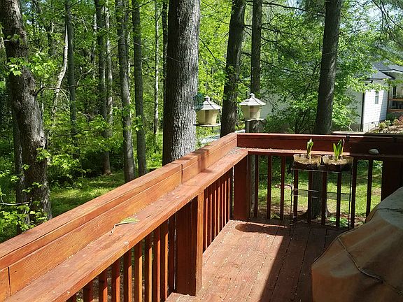 Back Deck