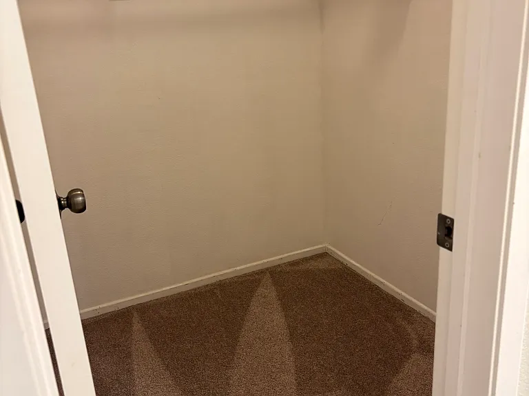 Walk-in closet in master bedroom