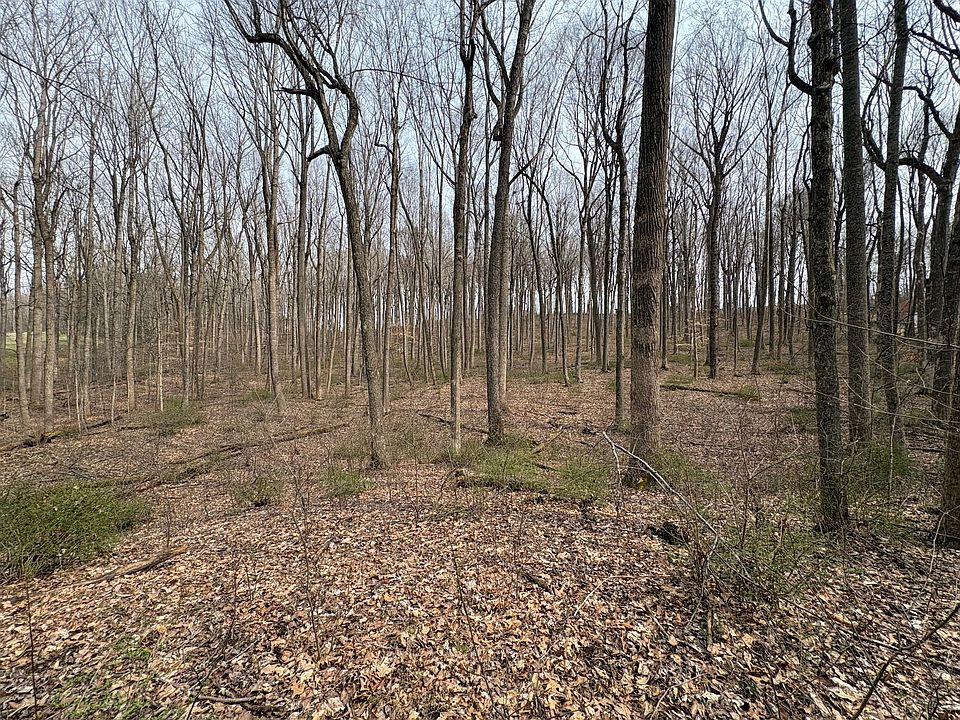 1st image of Woodland Dr