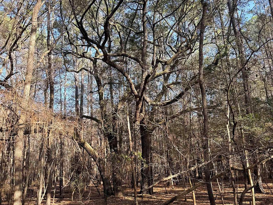 1st image of  Bryants Landing Rd.