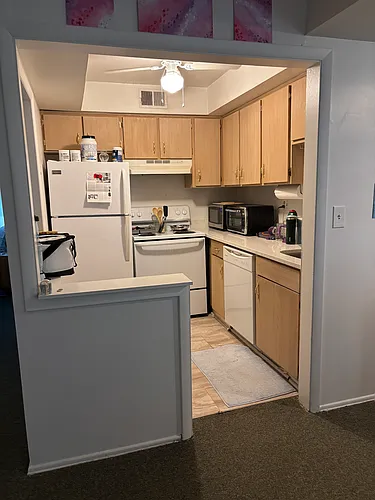 710 Copeland St #3 Photo 1