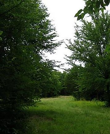 5th image of 918 County Road 4700