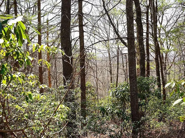 0 Off Hwy #106, Scaly Mountain, NC 28775