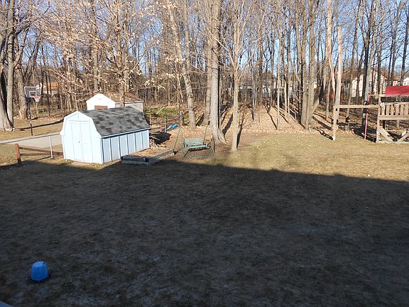 Back Yard 2