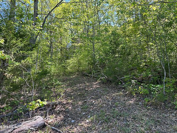 5th image of Long Hollow Rd
