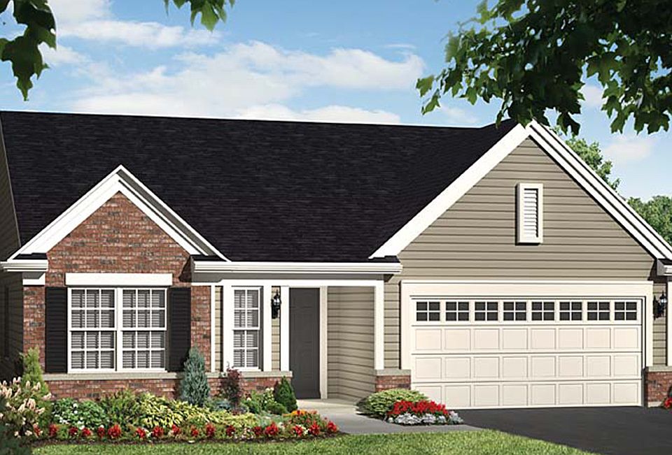 Elevation Image 4.