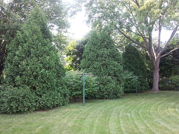 4th image of 28682 Leona St