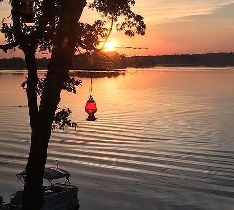 View from the Walkout level