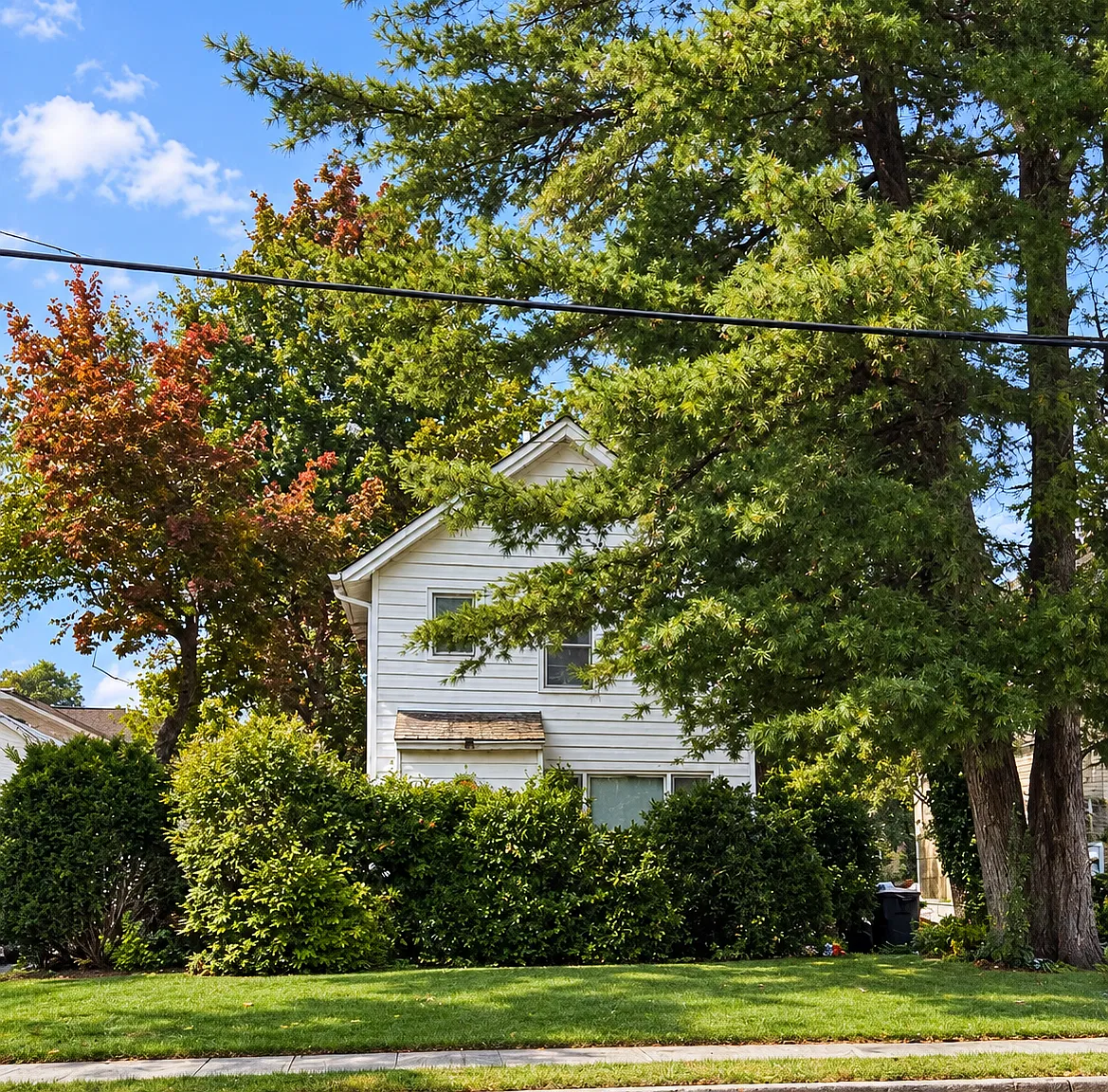 Forest Row, Great Neck — Photo 1