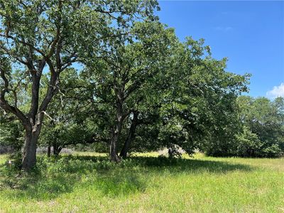 15136 County Road 424, Somerville, TX, 77879
