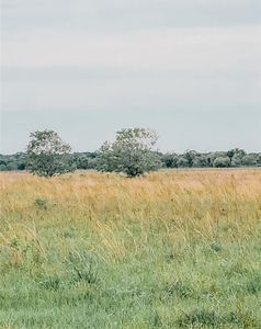 14388 County Road 210, Danbury, TX, 77534