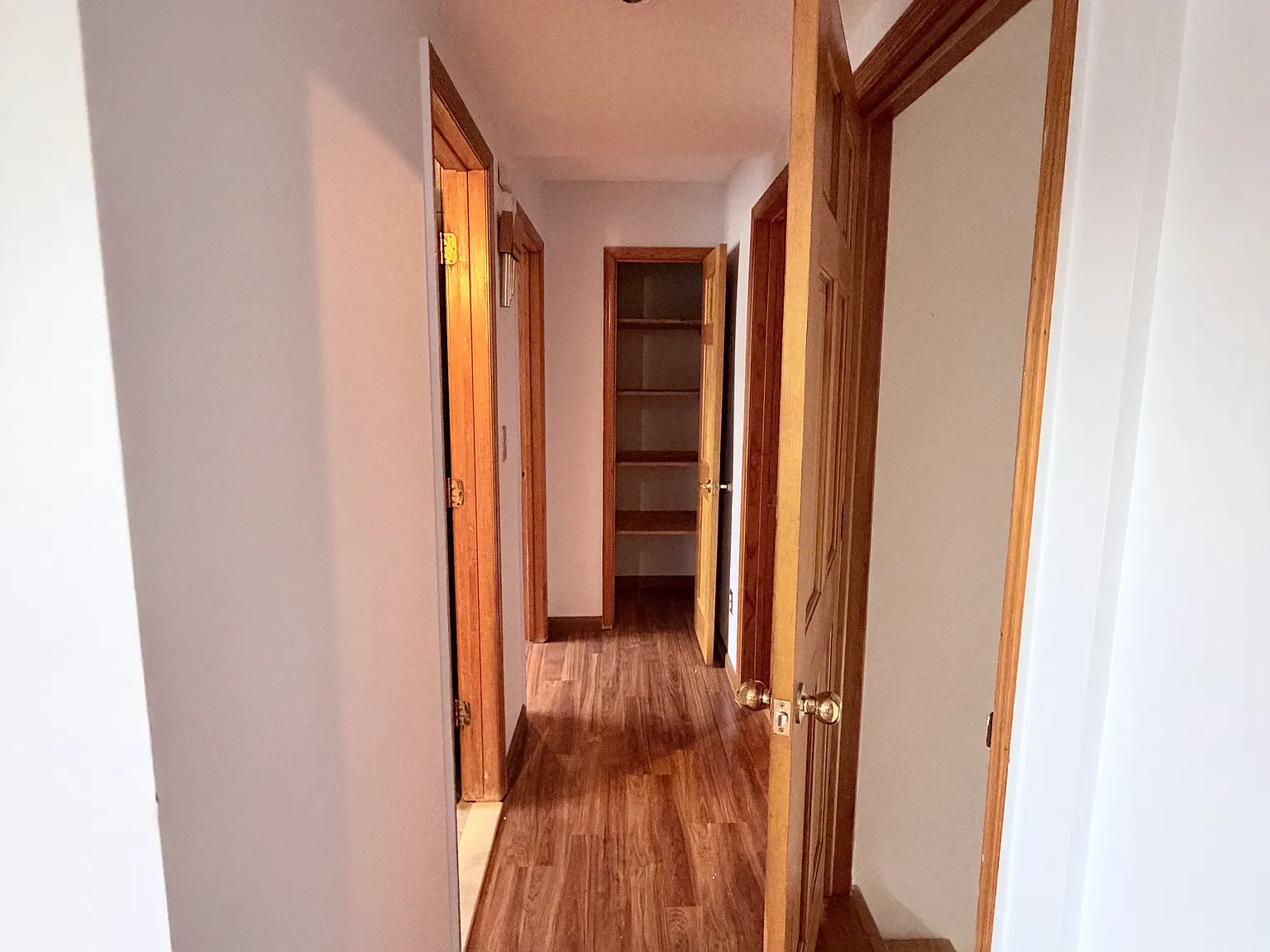 Evelyn Ave, Westbury — Photo 4