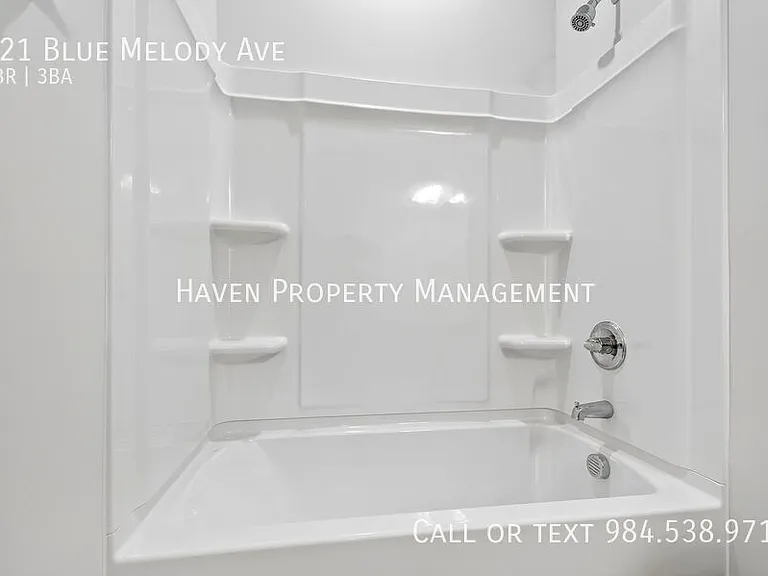 121 Blue Melody Ave — Photo 23