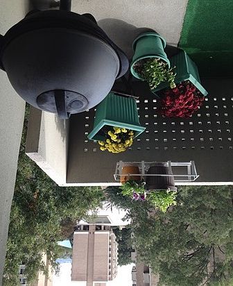 Balcony view