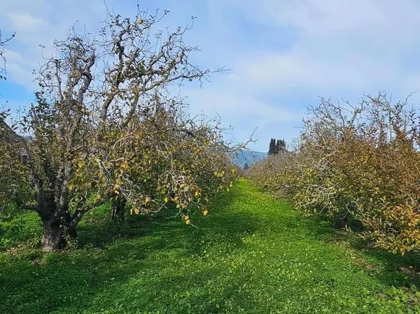 0 Varni Rd, Watsonville, CA 95076
