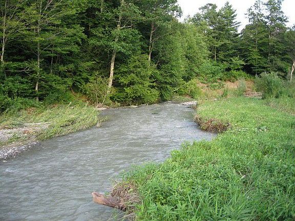 Trout Stream