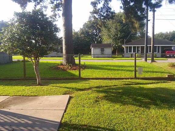 Back yard