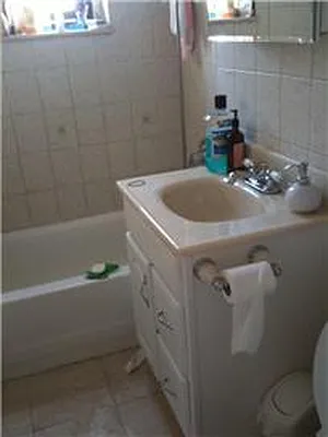 Sold by Furumoto Realty of New York City Inc | media 6