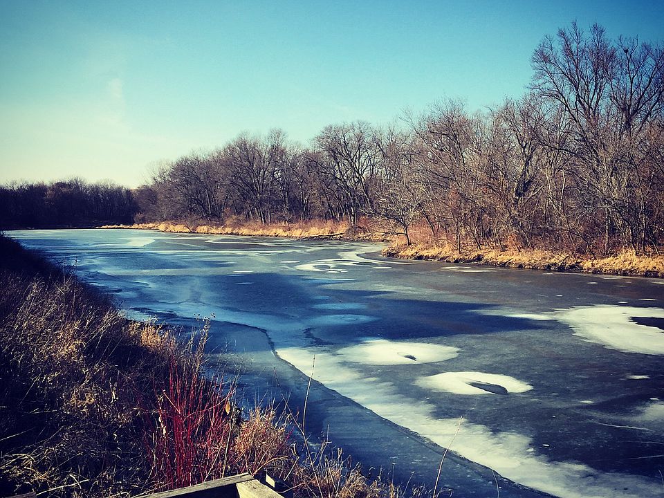 View of pond from trail.